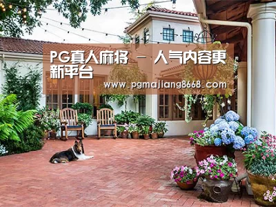客户案例标题九